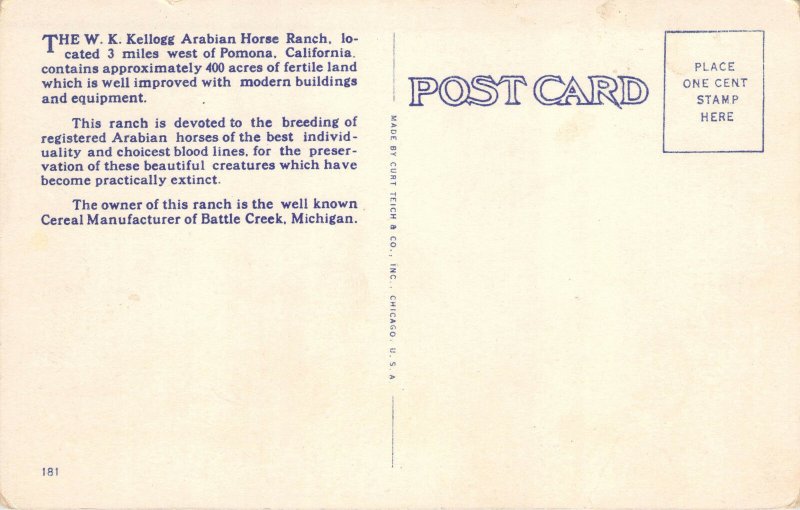 K.W Kellogg Arabian Horse Ranch Stables Pomona California Curt Teich Postcard