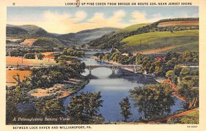 Pine Creek from Bridge between Lock Haven and Williamsport - Lock Haven, Penn...