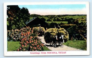 GREETINGS From NOCONA, TX Texas ~ Farm Scene c1930s Montague County Postcard