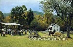 Making Sorghum Molasses - Great Smoky Mountains National Park, Tennessee TN  