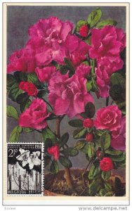 Floralles Gantoises Gentse Floralien , Belgium , PU-1955 ; Stamp & Postcard