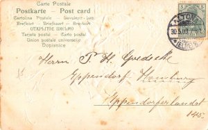 Pentecost Greetings 1903 Humanized Maybug Couple Flowers embossed postcard C318