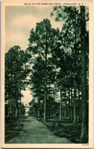 Walk to the Carolina Hotel, Pinehurst NC Vintage Postcard K36