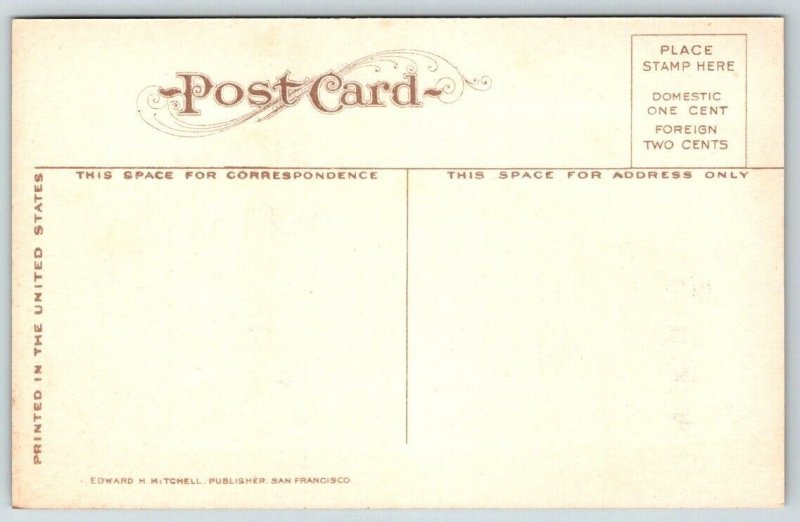 High School  Salem   Oregon     Postcard   c1915