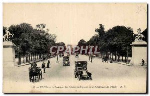 Paris - 8 - Champs Elysees - Marly Horses - horse - horse - Old Postcard