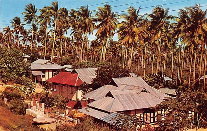 Malay Kampong Singapore Unused 