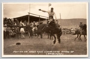 Livingston MT Round Up Showing Porter On Snake Eyes Doubleday Photo Postcard I36