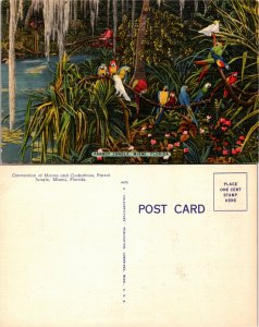 Parrot Jungle, Miami, Florida (26026