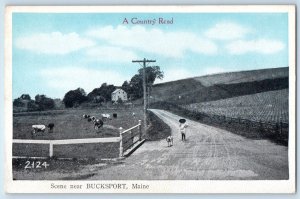 c1910 Bucksport Maine Vintage Postcard Country Road Scene Cow Cage Field Farm