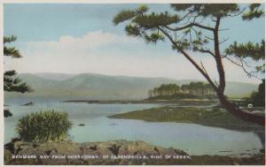 Kenmare Bay Parknasilla Ring Of Kerry Irish Postcard