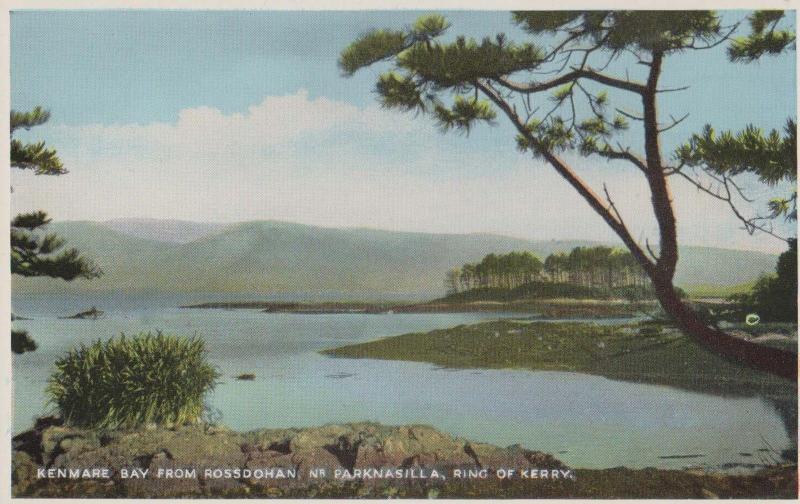 Kenmare Bay Parknasilla Ring Of Kerry Irish Postcard