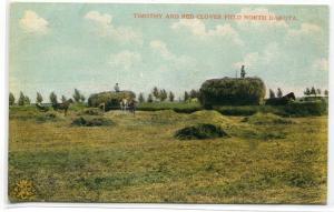 Timothy Red Clover Hay Harvest Field Farming North Dakota 1910c postcard