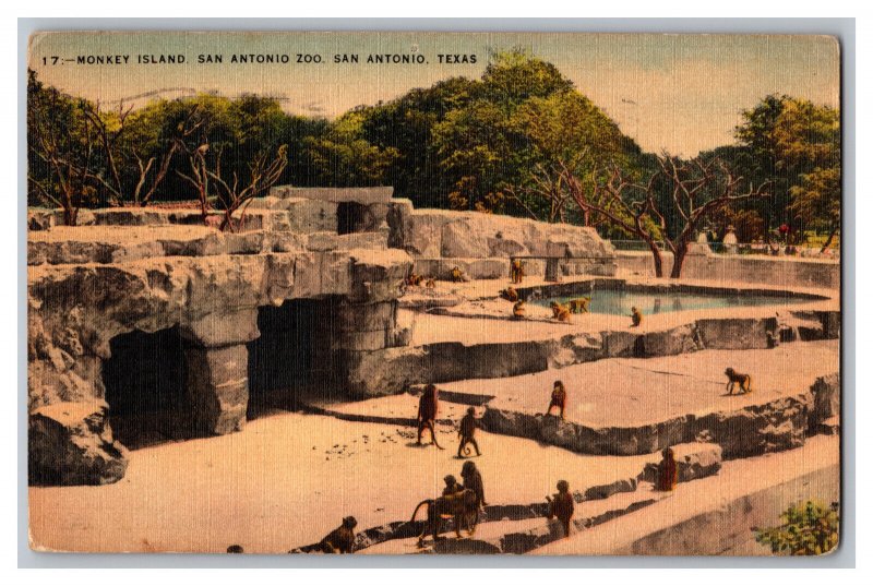 c1947 Postcard TX Monkey Island San Antonio Zoo San Antonio Texas