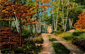 Connecticut Greetings From Oneco