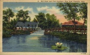 Mill Pond and Fish Hatchery, Blue Hole - Castalia, Ohio OH  