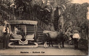 Portugal Madeira Bullock Car