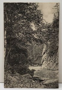 Adirondacks The Narrows Wilmington Notch c1908 Postcard C19