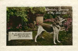 c1930 German Shepherd , Hand Painted Embossed Border RPPC British Postcard