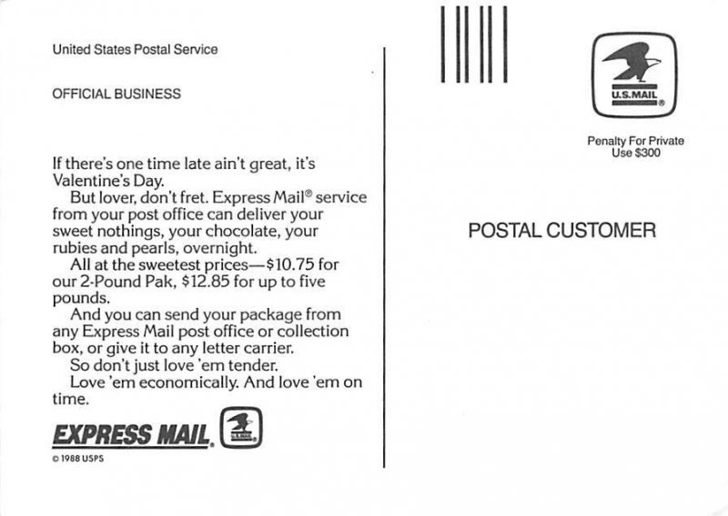 Express Mail, United States Postal Service 