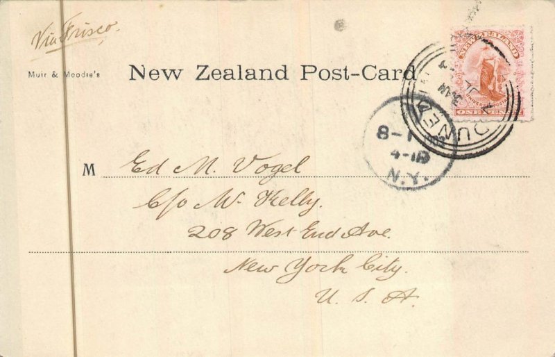 HALLS ARM NEW ZEALAND TO NEW YORK USA POSTCARD EXCHANGE 1904