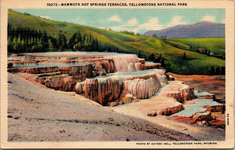 Vtg 1940s Mammoth Hot Springs Terraces Yellowstone National Park WY Postcard