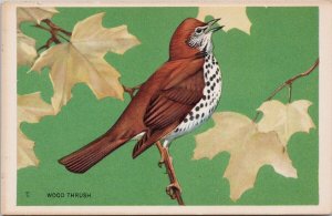 Bird Wood Thrush Maple Leaf National Wildlife Federation Wildlife Postcard H40