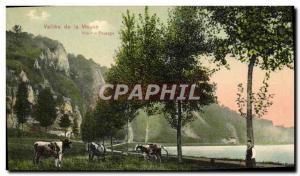 Old Postcard Vallee Meuse Yvoir Landscape Cows