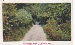 Illinois Greetings From Auburn 1931