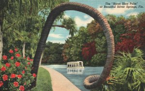 Vintage Postcard Horse Shoe Park Tourist Destination Silver Springs Florida Fla.