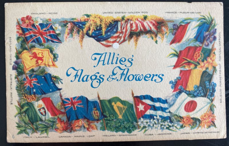 Mint USA YMCA America PPC picture Postcard Allies Flags & Flowers soldier mail 