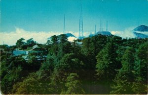 TV Antenna Towers at MT. Wilson Hotel - Sierra Madre Mountains CA Vtg Postcard
