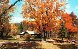 Beautiful Scenic Autumn Forestry New England Log Cabin Home Postcard Unused UNP 