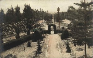 San Bernardino? California CA Euclid Avenue Tinted c1905 Real Photo Postcard