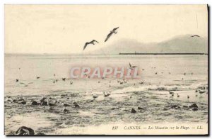 Old Postcard Cannes The Seagulls On The Beach