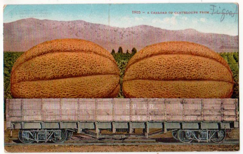 Extravaganza - Canteloupe on a Railroad Car