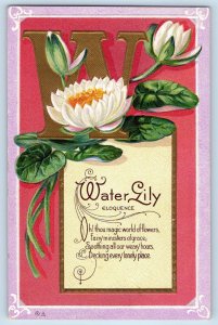 Correll Minnesota MN Postcard Water Lily Flowers Embossed Nash 1913 Antique