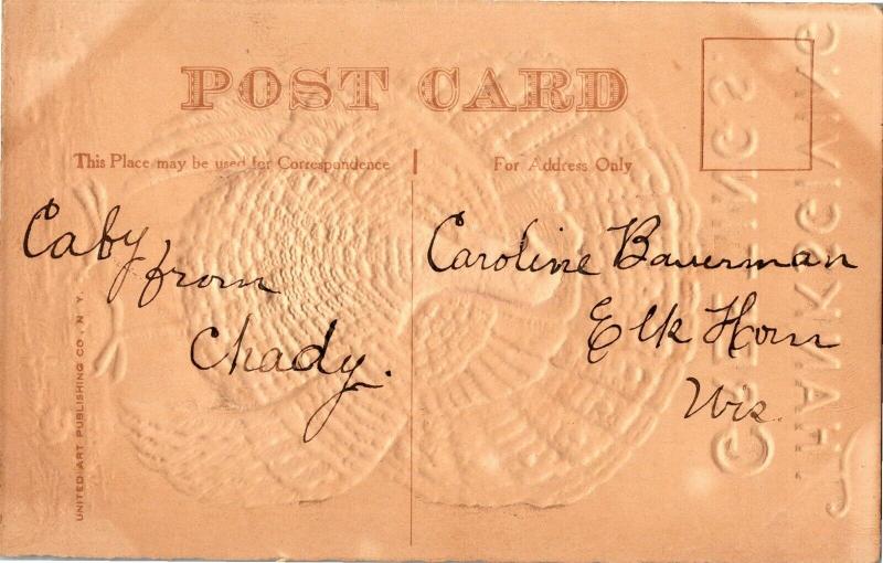 Embossed, Turkey at Boiling Pot, Thanksgiving Greetings Vintage Postcard Q21