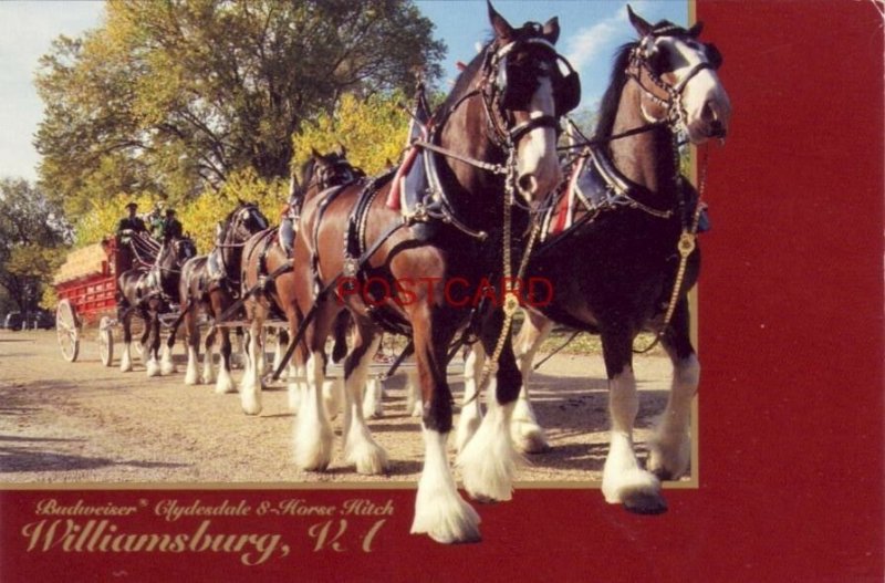 budweiser tour williamsburg va