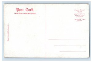 Vintage Navar Park Toledo Ohio Postcard P138E