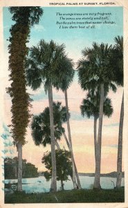 Vintage Postcard 1966 Tropical Palms At Sunset Florida FL Pub Asheville