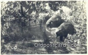 Real Photo - Beavers Bear writing on back 