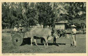 costa rica, Carreta, Oxen Cart (1920s) Gran Hotel Edition