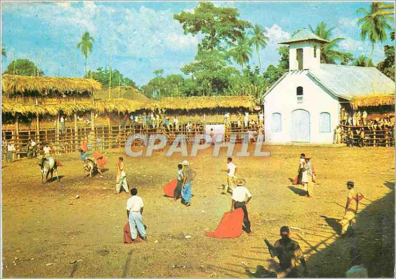  Modern Postcard Monteria Cordoba Colombia Bullfight