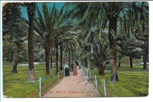 Nice, France - Allee de Palmiers au Chateau - 1919 - Soldier's Mail