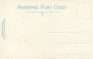 Vintage Postcard Buller Gorge New Zealand South Island