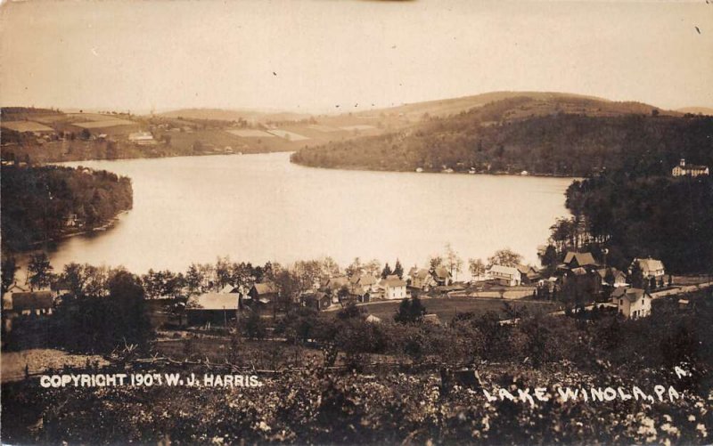 Overfield Township Pennsylvania Aerial View Of Lake Winola Real Photo PC U5293