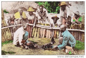 RP: Cock Fight , Haiti , PU-1953