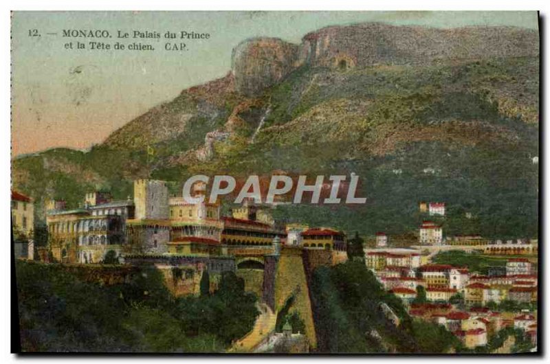 Old Postcard Monaco the Prince's Palace and the dog Tete