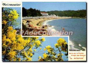 Modern Postcard Ile de Noirmoutier Beach chair of the Ladies wood mimosa