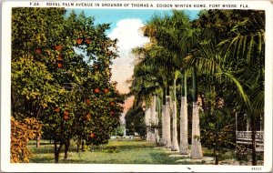 Florida Fort Myers Royal Palm Avenue On Edison's Winter Home Grounds 193...